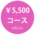 ¥5,000コース